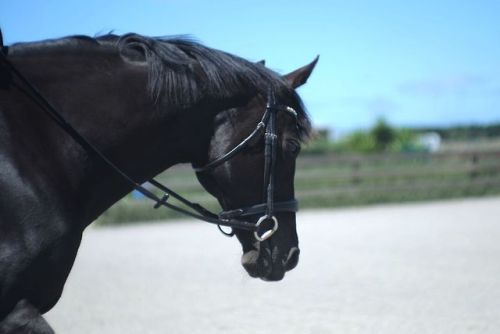 myblackmare: She’s perfect to me. 