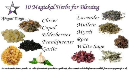 sowilo-hedgewolf:Magickal Herbs