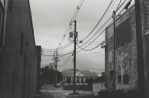 Silver Gelatin, a test with 3200 speed film that I happened to like the composition of.-Birdie St. P