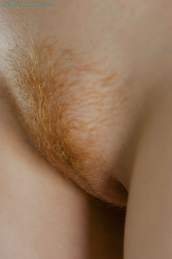 starstruckcuteautosempath:Geile Red Hairy