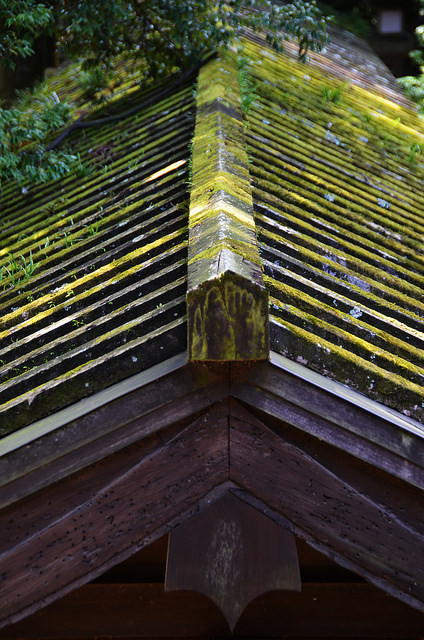 Nara Moss Roof by pokoroto on Flickr.