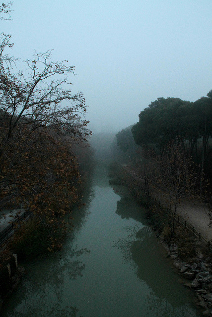 La niebla nos oculta el horizonte. by sergioski1982 on Flickr.