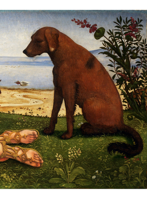 Piero di Cosimo, A Satyr mourning over a Nymph (plus detail), 1495. Oil on poplar wood. Via wikiMilt