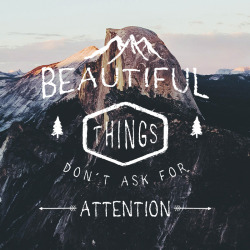 ssparrowandthewolf:  beautiful things don’t ask for attention — sean o’connell, the secret life of walter mitty  typography by ssparrowandthewolf / photo by thecraziethewizard  