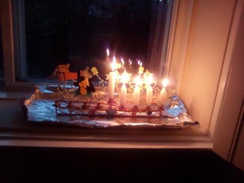 magen-ruth:One of these is not like the others…Chag sameach! @hanukcat btw, cat hanukkiyah and actua