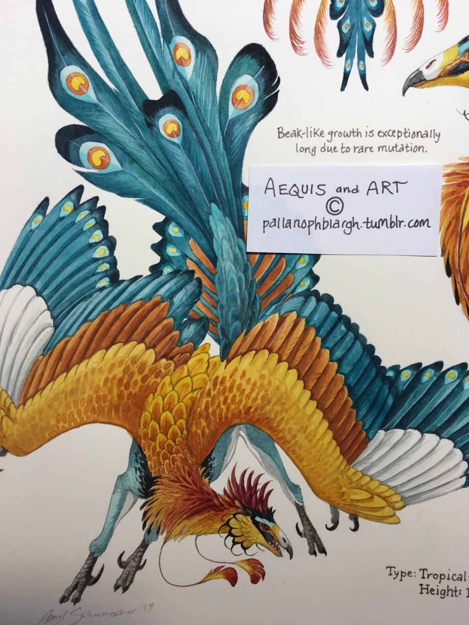pallanophblargh:  Going to call the bee-eater Aequis custom tentatively done: I’m