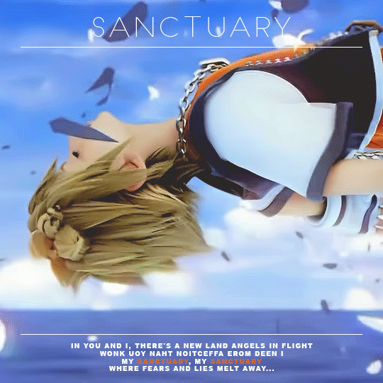 caerberus: kingdom hearts + openings