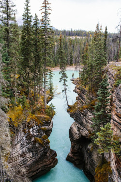 wonderous-world:  Alberta, Canada by Finn Beales 