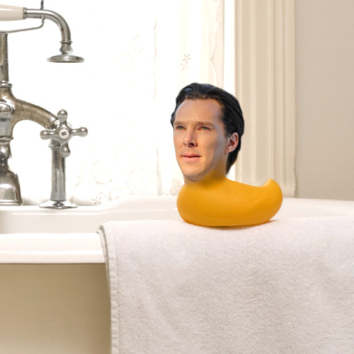 forsciencejohn:  gingerbatch-is-the-best-batch:  doctorspockspaceman:  elementarysherlock:  wtf did I just find in the Benedict Cumberbatch tag?  art  I would scream if i saw this in my bathroom.  beneduck cumberbath 