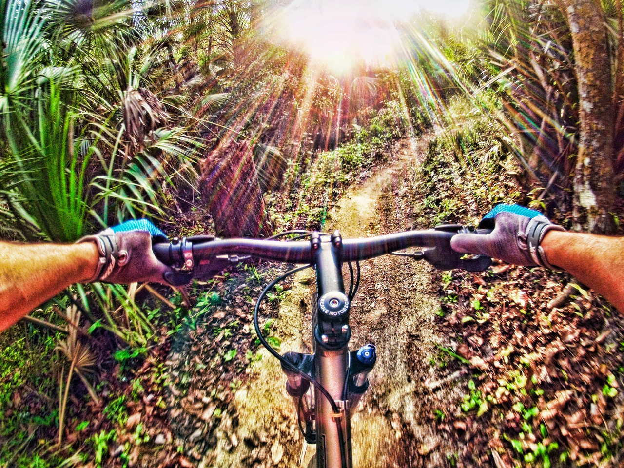 OvertheHillMTB.net: Photo