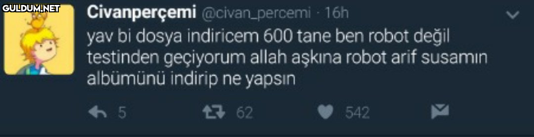 Civanperçemi...