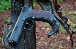 45-9mm-5-56mm:  CZ75 SP-01 Tactical by SupraMK86 on Flickr.Damn, that is a beauty…