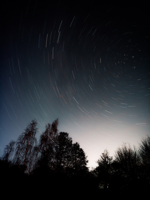 ardley:Earth’s Rotation around the North StarPhotographed by Freddie Ardley - Visit Print Shop