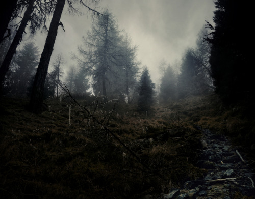 phoenixfeatherxlight: I hope you enjoy this dreamscape ~   ©Andrea Effulge Feel most welco