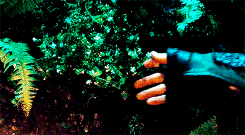 glorfindhel-deactivated20210912:  “It’s a dangerous business, Frodo, going out of your door,” he used to say. “You step into the Road, and if you don’t keep your feet, there is no knowing where you might be swept off to.” 