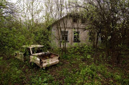 A photograph of an abandoned lot in Chernobyl, photographed by Gerd Ludwig for National Geographic, 