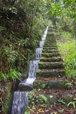 yellowrose543: Stairs and waterfall   Flickr.com