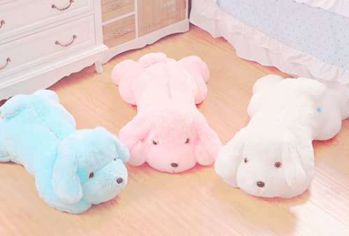 akaashie:    ♡ Light Up Music Puppy Plush (3 Colors 2 Sizes!)♡ from Fashion Store♡ Price: ห.70 - ฯ.70♡ You can use the code lovely7 for 10% off your purchase!     I need this!!!