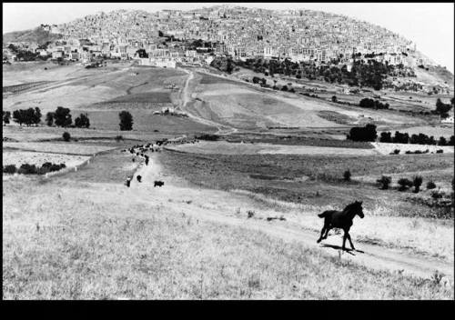 Leonard Freed - ITALY. Sicilia. 1974.