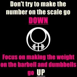fitnetix:  Just lift. Trust me.  this, totally this!