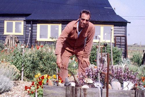 angstravaganza:derek jarman in his garden at prospect cottage, dungeness