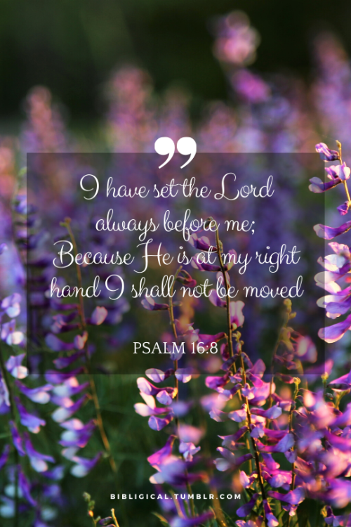 bibligical:I have set the Lord always before me;Because He is at my right hand I shall not be moved.