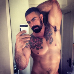 thejuicylatincocks:  The Big Juicy Bear ®