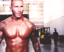 rwfan11:  Orton (*not my gif creations) 
