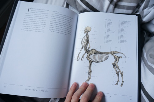 clepse:One of my favourite books, a Gray’s Anatomy for mythological creatures.The Resurrectionist //