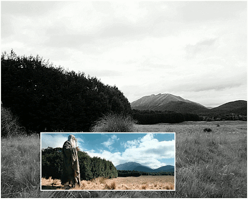 thearkenstone-ck: My Middle-earth Journey  ❁ Gandalf the White with Shadowfax at the edge of Fangorn