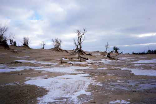 Last Weekend My Housemate And I Drove An Hour To West Michigan's Silver Lake Dunes. I'd Never Been To