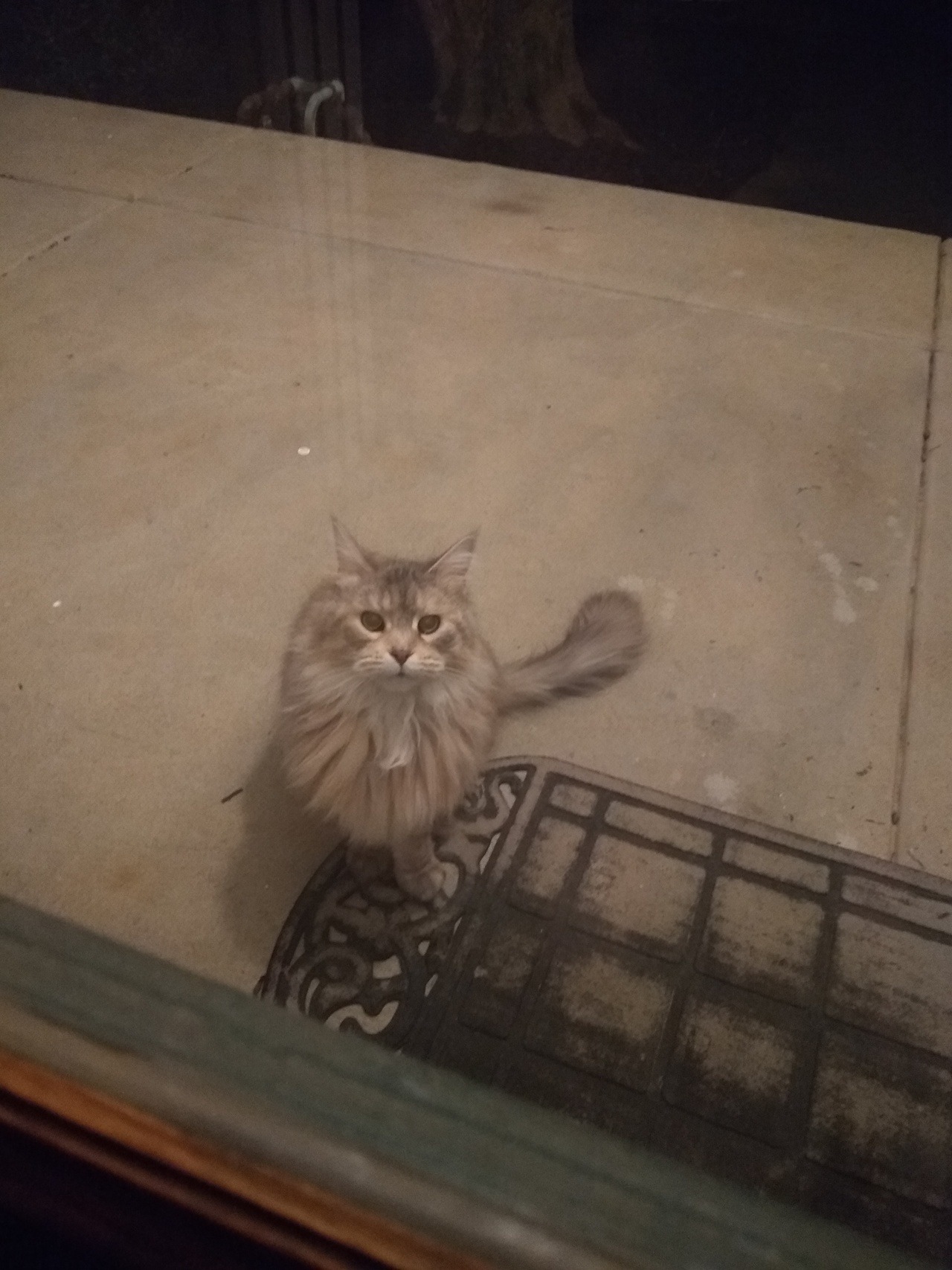 vampireapologist:  vampireapologist: vampireapologist:  A strange man at my door….