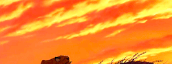 Credencesbarebone:  The Lion King + Colors