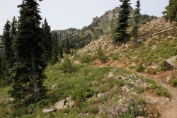 burningmine: Sheep Lake to Sourdough Gap Trail, August 2018