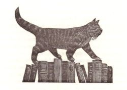 uwmspeccoll:  A Bookstore Caturday As our