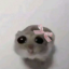 dearpeachyy