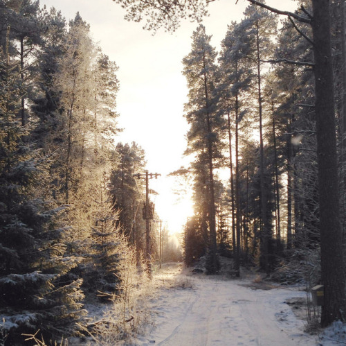 arctic-bramble:  Winter in Finland. This porn pictures