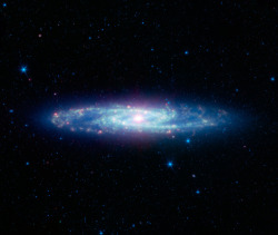 sci-universe:  This is the Sculptor galaxy viewed from the Spitzer Space Telescope. It is known as a starburst galaxy for the extraordinarily strong star formation in its nucleus. This activity warms the surrounding dust clouds, causing the brilliant