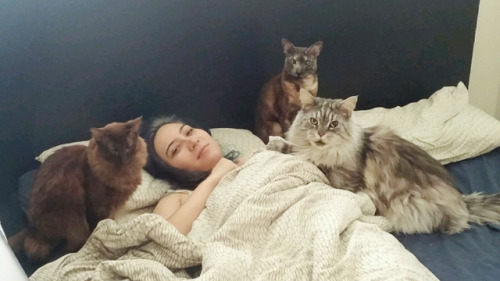 thesilverpaws:How I know the squad wants breakfast…