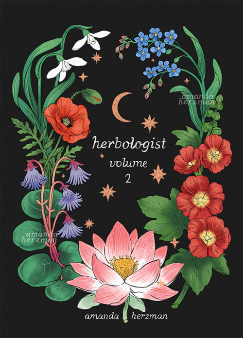 herbologist zine volume 2 - collecting together one year of my patreon herbologist rewards, from 202