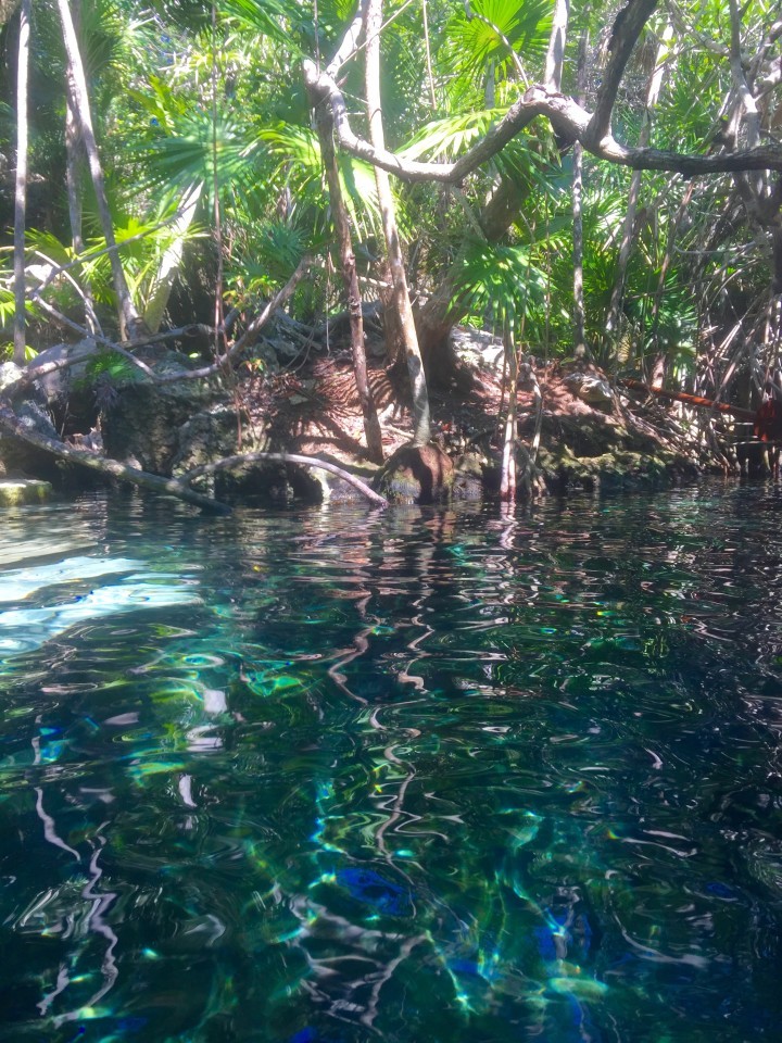 Xel Ha, Mexico: Land Where The Water Is Born