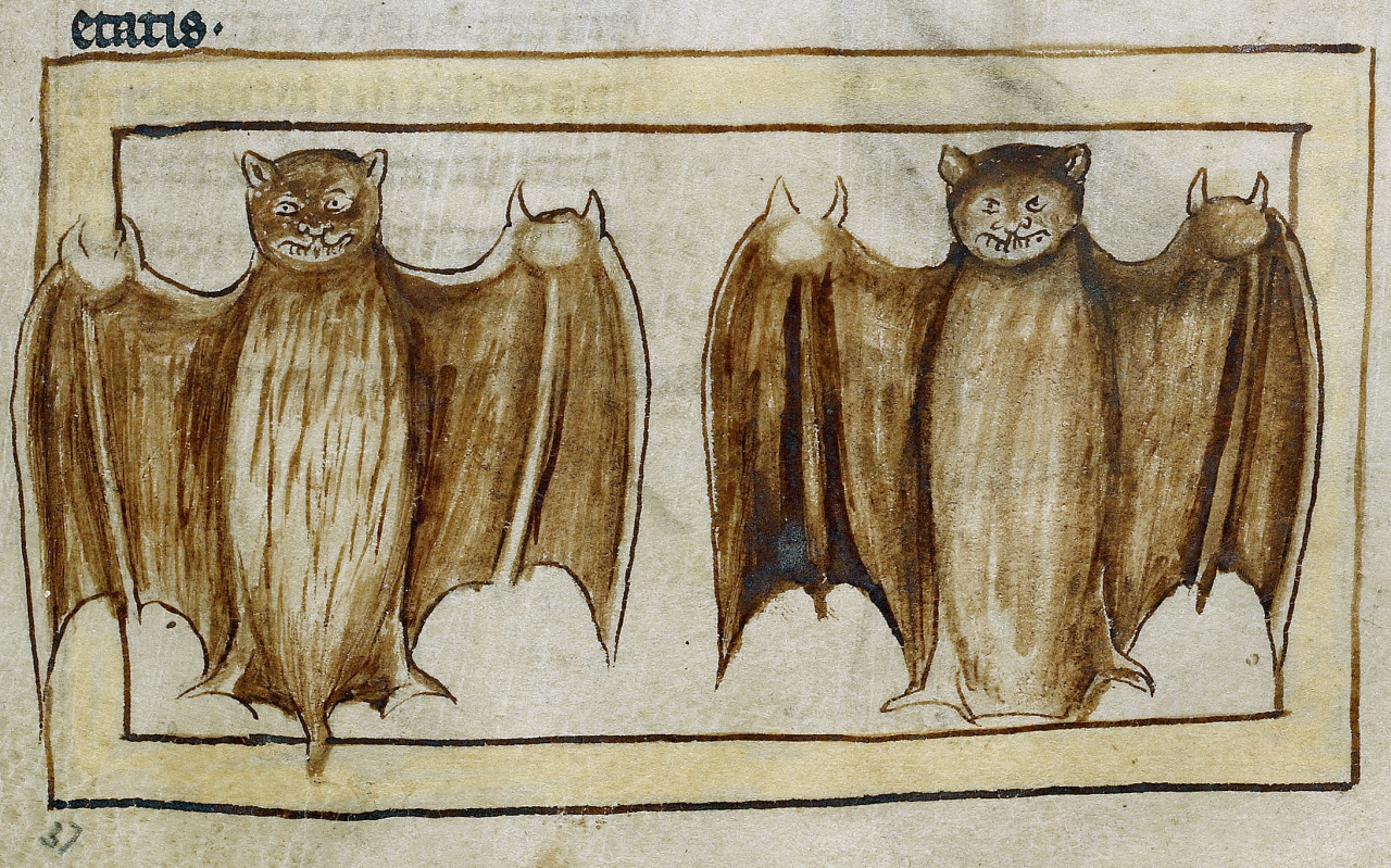 ladymorthanlu:  toloveviceforitself:  sam-u-ella:  dimetrodone:  Medieval bat appreciation