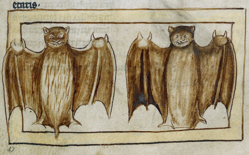 radioactaiv-moving: toloveviceforitself: sam-u-ella: dimetrodone: Medieval bat appreciation post waa