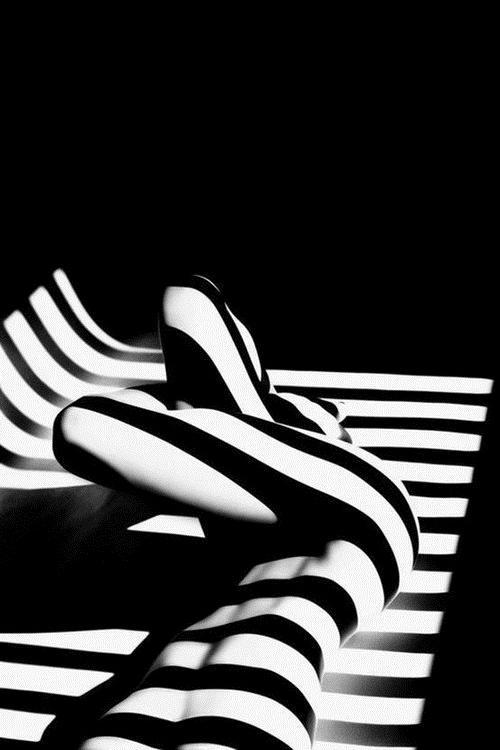 zeroing:  Zebra, 2000 