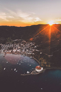 thelavishsociety:  Catalina Vibes by Daniel Malikyar | LVSH