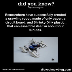 did-you-kno:  Researchers have successfully