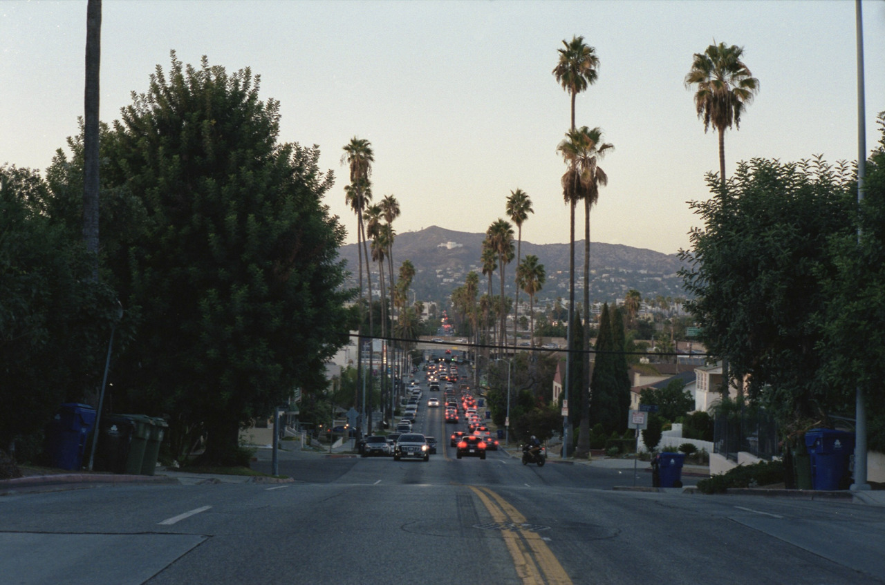 JOSHUA ZUCKER