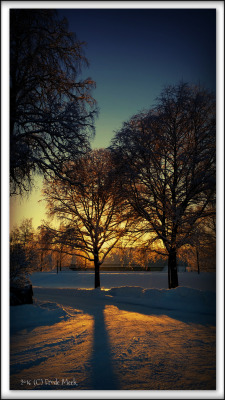 euph0r14:  nature | Sunset in the land of Cold Winters | by onkelfattern | http://ift.tt/1SYe6xS 