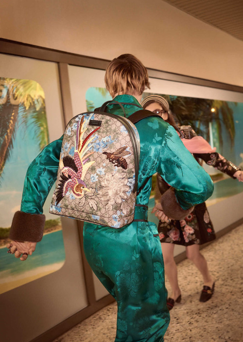 vuittonv:  Gucci S/S 2016, by Glen Luchford. porn pictures