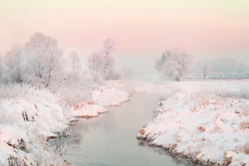 magic-spelldust:Snowy Pastel Winter Scenes by Katarzyna Gritzmann